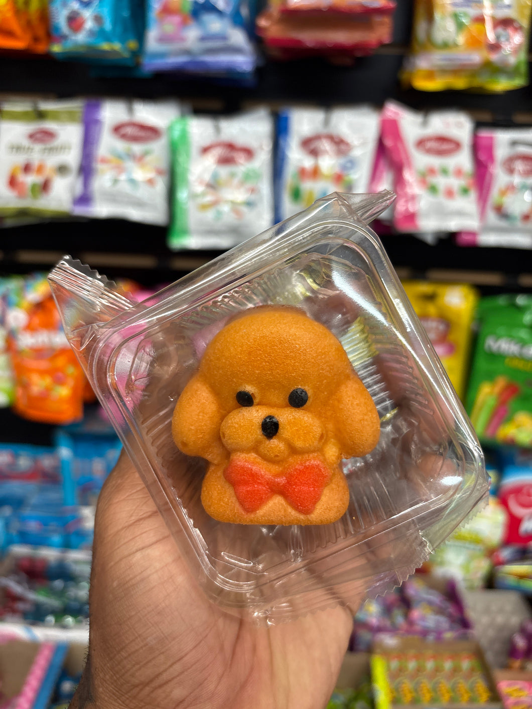 Toy Poodle Lava Cake (China)